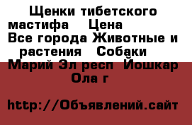 Щенки тибетского мастифа. › Цена ­ 30 000 - Все города Животные и растения » Собаки   . Марий Эл респ.,Йошкар-Ола г.